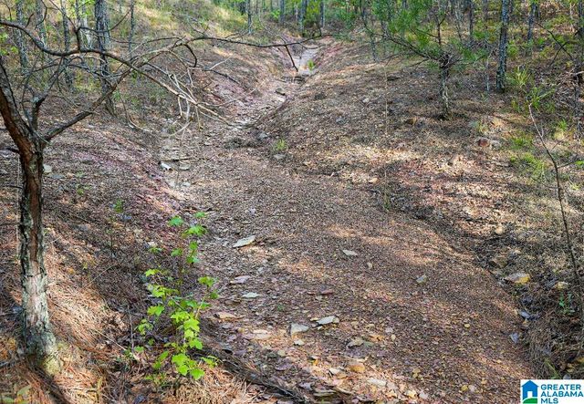Off of MAGNOLIA CREST WAY, Odenville, AL 35120