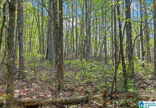 Off of MAGNOLIA CREST WAY, Odenville, AL 35120