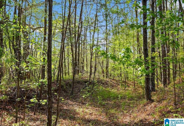 Off of MAGNOLIA CREST WAY, Odenville, AL 35120