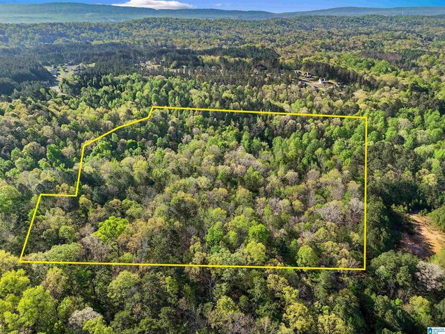 Off of MAGNOLIA CREST WAY, Odenville, AL 35120