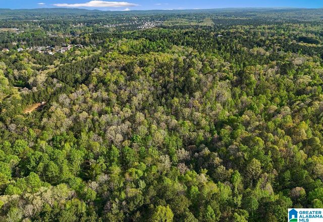 Off of MAGNOLIA CREST WAY, Odenville, AL 35120