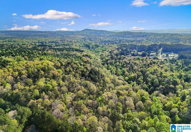 Off of MAGNOLIA CREST WAY, Odenville, AL 35120