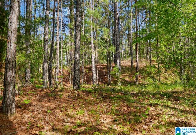 Off of MAGNOLIA CREST WAY, Odenville, AL 35120
