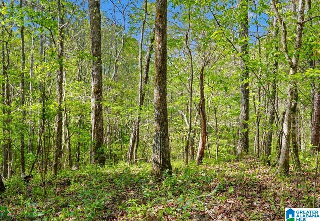 Off of MAGNOLIA CREST WAY, Odenville, AL 35120