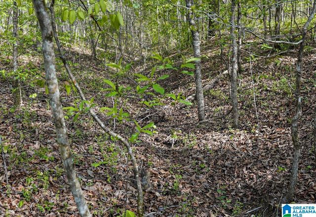 Off of MAGNOLIA CREST WAY, Odenville, AL 35120