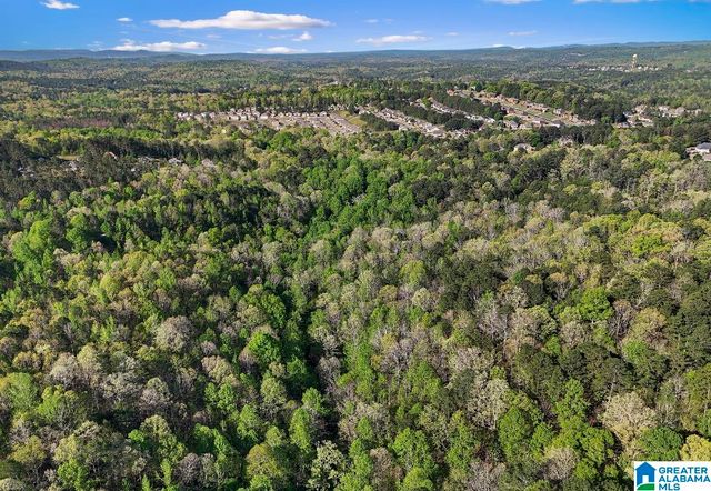 Off of MAGNOLIA CREST WAY, Odenville, AL 35120