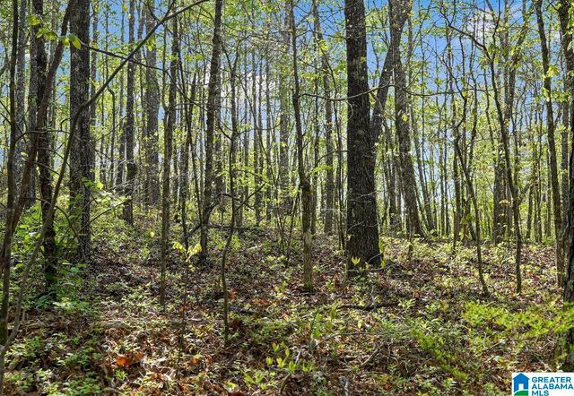 Off of MAGNOLIA CREST WAY, Odenville, AL 35120