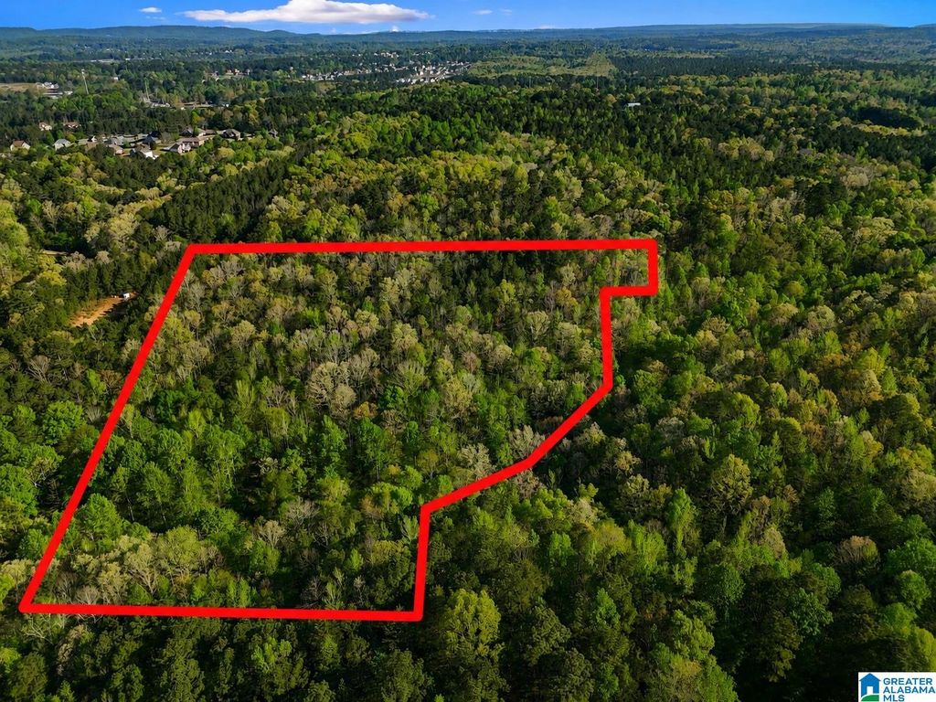 Off of MAGNOLIA CREST WAY, Odenville, AL 35120