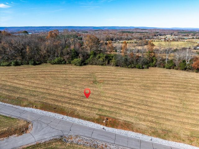 65 The Gates Drive, Decatur, TN 37322