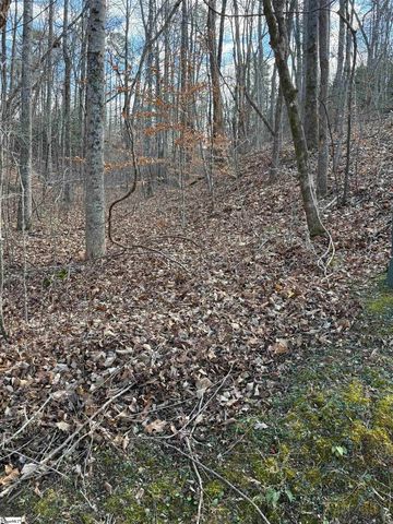 Links Ledge Lot 17, Travelers Rest, SC 29690