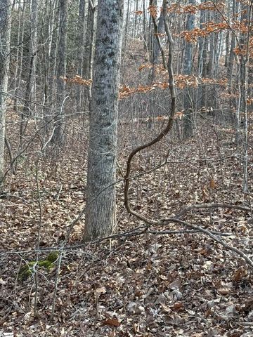 Links Ledge Lot 17, Travelers Rest, SC 29690