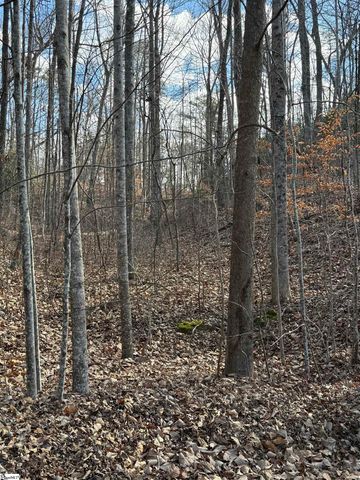 Links Ledge Lot 17, Travelers Rest, SC 29690