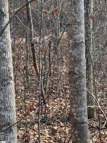 Links Ledge Lot 17, Travelers Rest, SC 29690