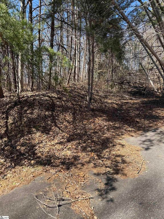 Links Ledge Lot 17, Travelers Rest, SC 29690