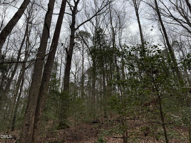 0 Eatmon Road, Zebulon, NC 27597