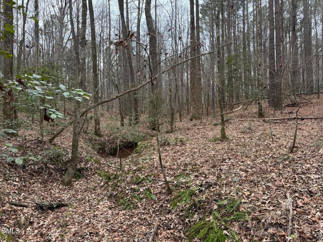 0 Eatmon Road, Zebulon, NC 27597