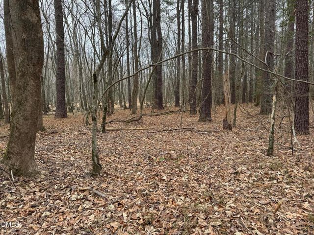 0 Eatmon Road, Zebulon, NC 27597