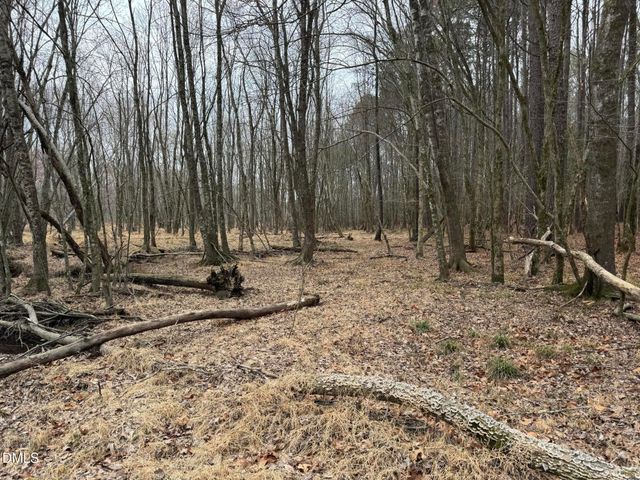 0 Eatmon Road, Zebulon, NC 27597