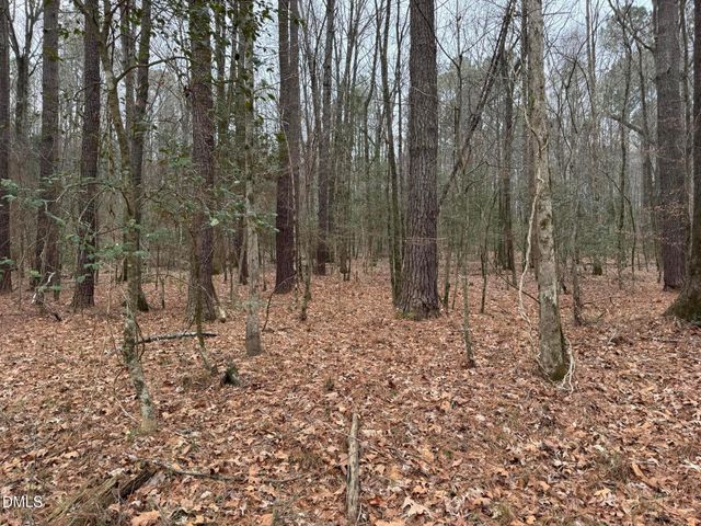 0 Eatmon Road, Zebulon, NC 27597