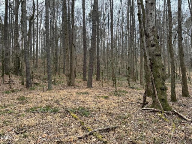 0 Eatmon Road, Zebulon, NC 27597