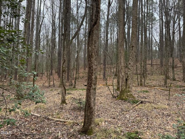 0 Eatmon Road, Zebulon, NC 27597