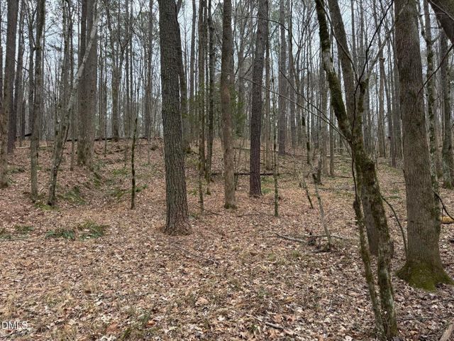 0 Eatmon Road, Zebulon, NC 27597