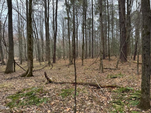 0 Eatmon Road, Zebulon, NC 27597