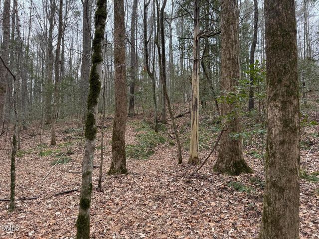 0 Eatmon Road, Zebulon, NC 27597