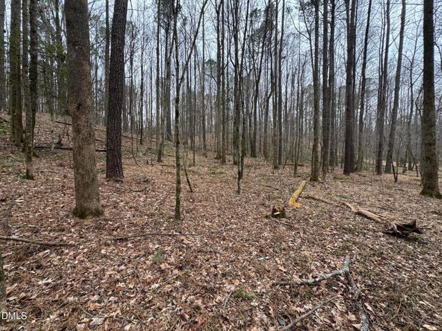 0 Eatmon Road, Zebulon, NC 27597