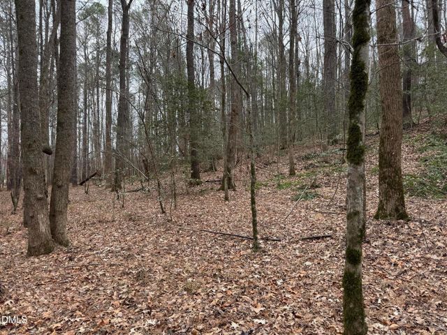 0 Eatmon Road, Zebulon, NC 27597