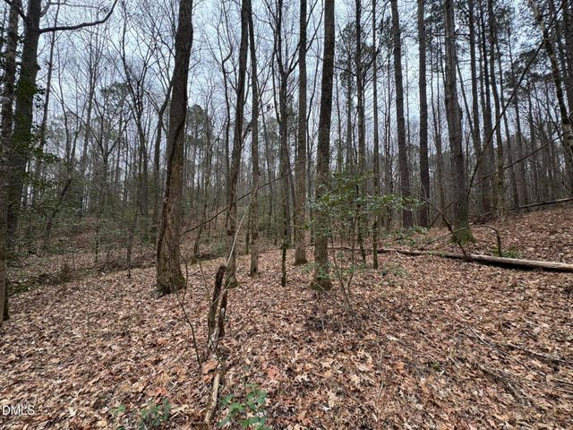 0 Eatmon Road, Zebulon, NC 27597