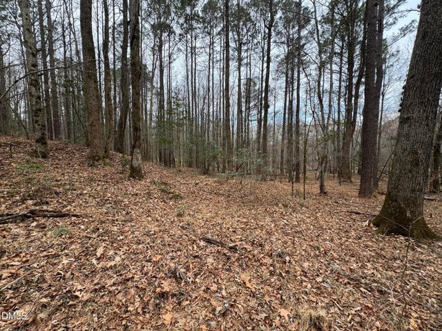 0 Eatmon Road, Zebulon, NC 27597