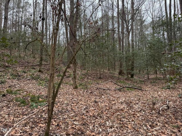 0 Eatmon Road, Zebulon, NC 27597