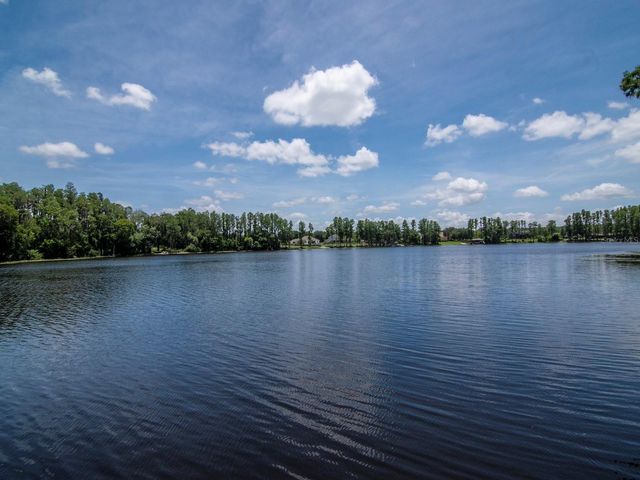 219 WILLOW BEND PARKWAY, Lutz, FL 33549