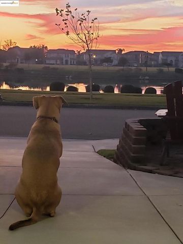 4794 Snowy Egret Way, Oakley, CA 94561