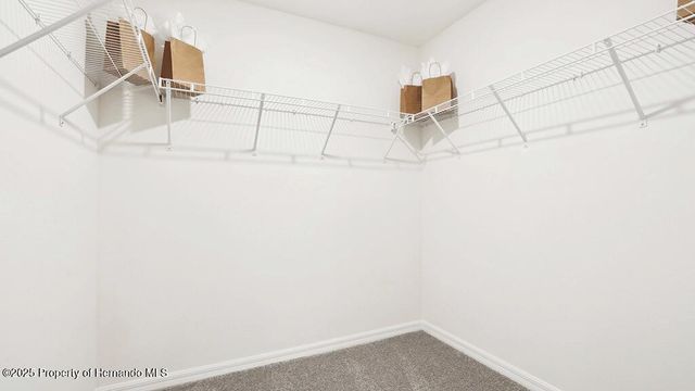 10787 Tucker Road, Weeki Wachee, FL 34613