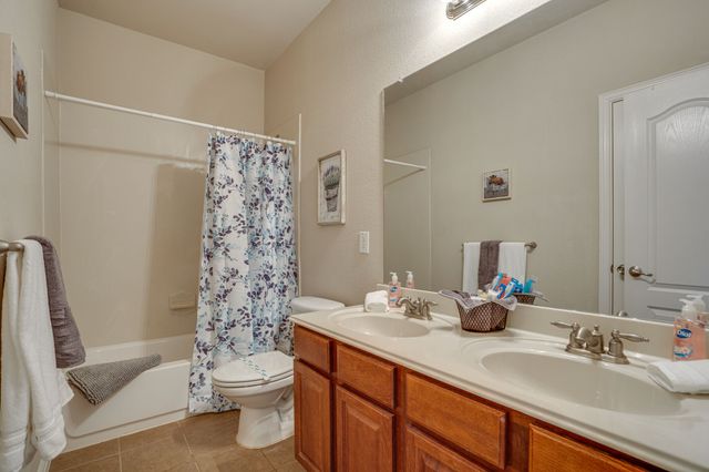 16309 Dry Creek Boulevard, Prosper, TX 75078
