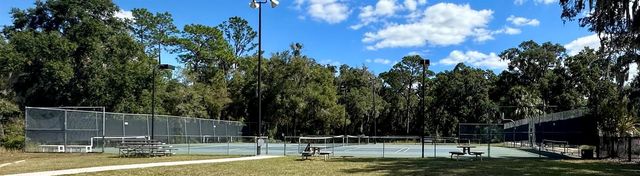 19126 SW 101ST STREET, Dunnellon, FL 34432
