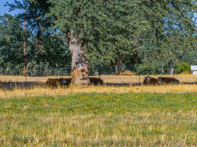 15775 Red Bank Road, Red Bluff, CA 96080