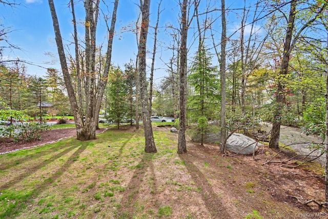 116 Lake Shore Drive W, Rock Hill, NY 12775
