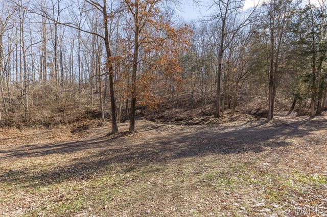 3414 Shamrock Road, Festus, MO 63028