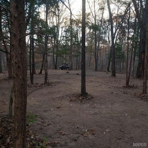 3414 Shamrock Road, Festus, MO 63028