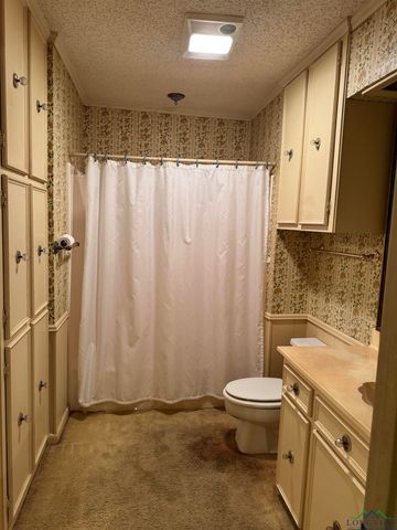 107 Villa Dr, Troup, TX 75789