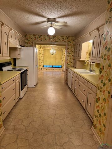 107 Villa Dr, Troup, TX 75789