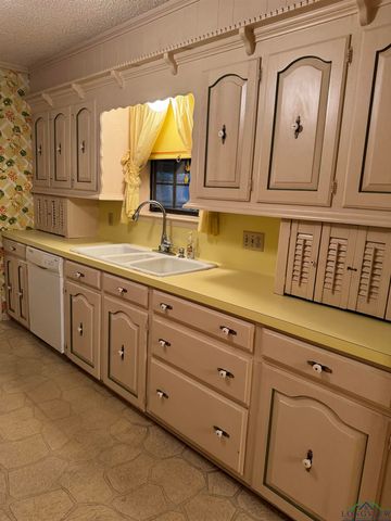 107 Villa Dr, Troup, TX 75789