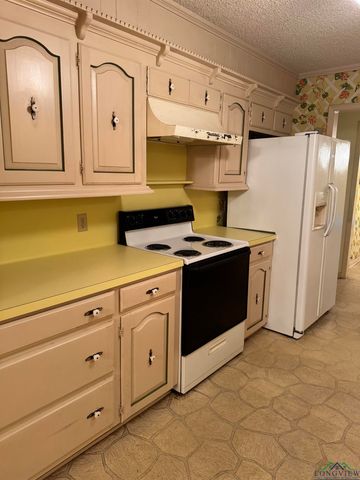 107 Villa Dr, Troup, TX 75789