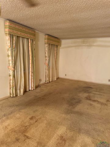 107 Villa Dr, Troup, TX 75789