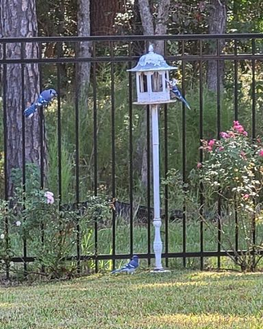 725 Ivory Creek Court, Willis, TX 77378