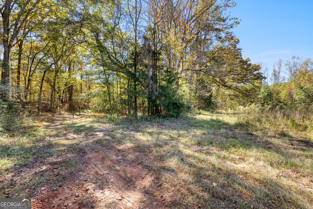 0 Bankston Road LOT 8, Meansville, GA 30256