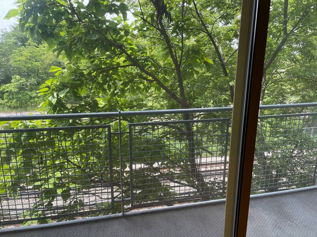 1222 Chicago Avenue 402, Evanston, IL 60202